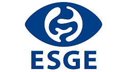 Капсульная эндоскопия тонкой кишки и аппаратная энтероскопия для диагностики и лечения заболеваний тонкой кишки: Технический обзор Европейского общества желудочно-кишечной эндоскопии (ESGE)